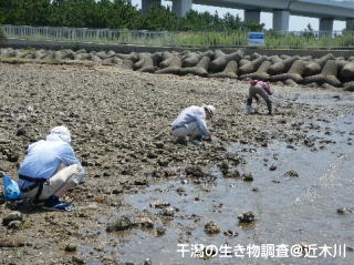トップページ写真１