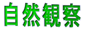 自然観察