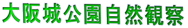 大阪城公園自然観察