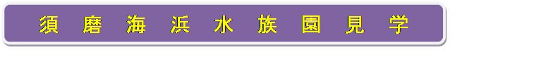 角丸四角形: 須　磨　海　浜　水　族　園　見　学




