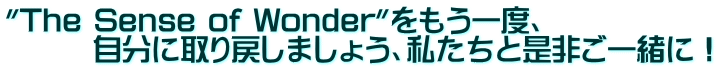 "The Sense of Wonder"をもう一度、 　　　自分に取り戻しましょう、私たちと是非ご一緒に！