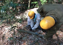 階段用材料伐りだし