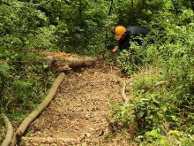 サクラ山　登り道補修