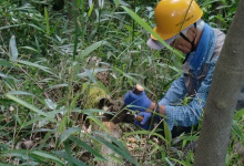 登り道補修用杭作り