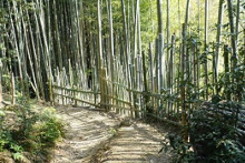 ハイキング道の柵垣