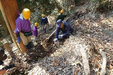 カゴタケの調査