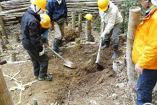 タケの切り株除去