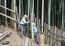 シカよけ棚の延伸作業