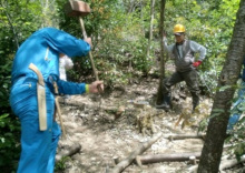 サクラ山登り道補修