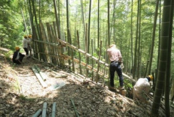 ハイキング道側の作業