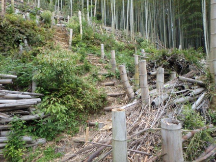 完成した登坂路