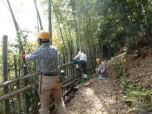 ハイキング道沿いの棚