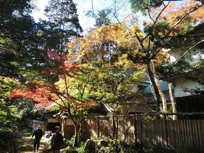 庫裏入口の紅葉状況