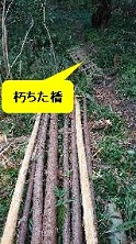 作業道の整備