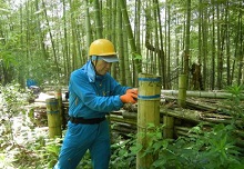 竹筒を切り離す