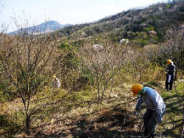 モノレール跡地の整備作業