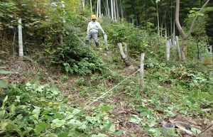 通路の整理