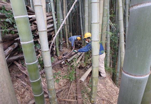 東エリアで新たな棚積み