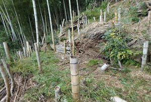 除去された棚積み跡