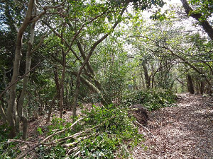 B地区 本日の作業後