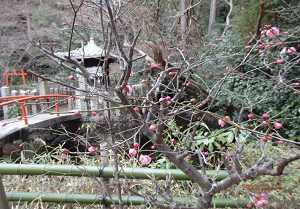 梅一輪 一輪ほどの暖かさ 　宝積寺