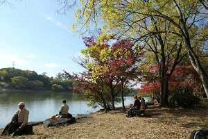 花が沢山付いている