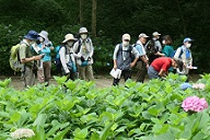 高野山