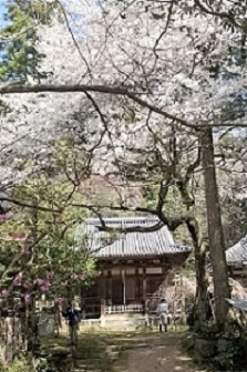 高貴寺