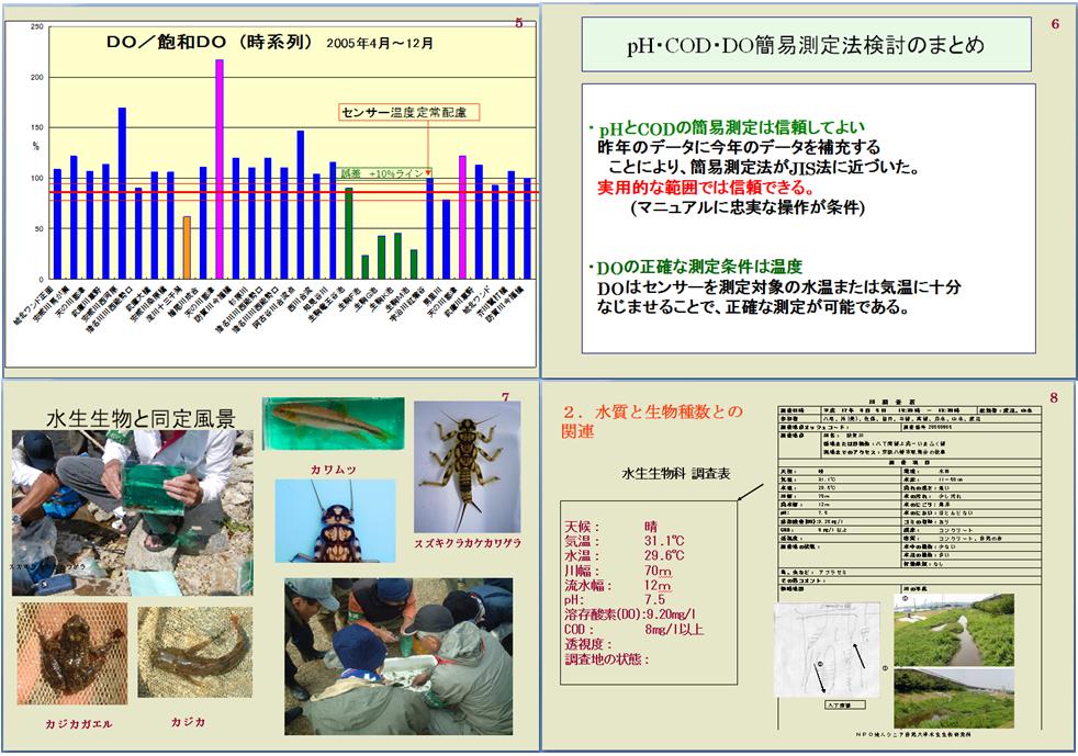 hamajima2.jpg