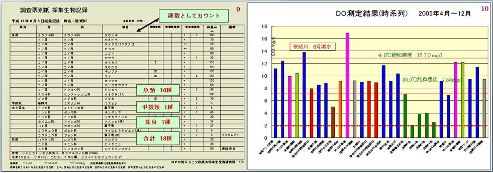 hamajima31.jpg