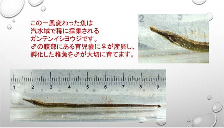 ̏ꂽ

AI Rec͌܂މ\܂B