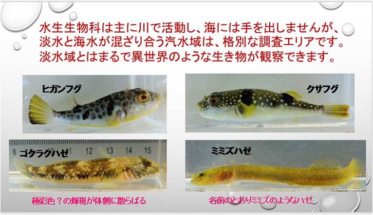 J_[ ܂܂Ă摜

AI Rec͌܂މ\܂B