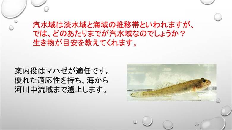 eLXg

AI Rec͌܂މ\܂B