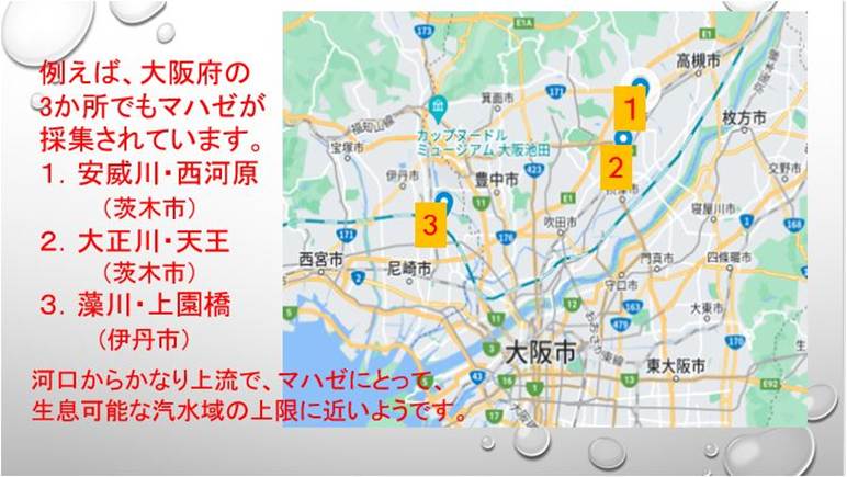 }bv

AI Rec͌܂މ\܂B